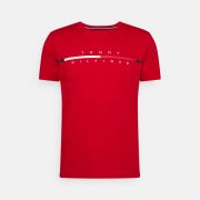 T-Hilfiger T-shirt