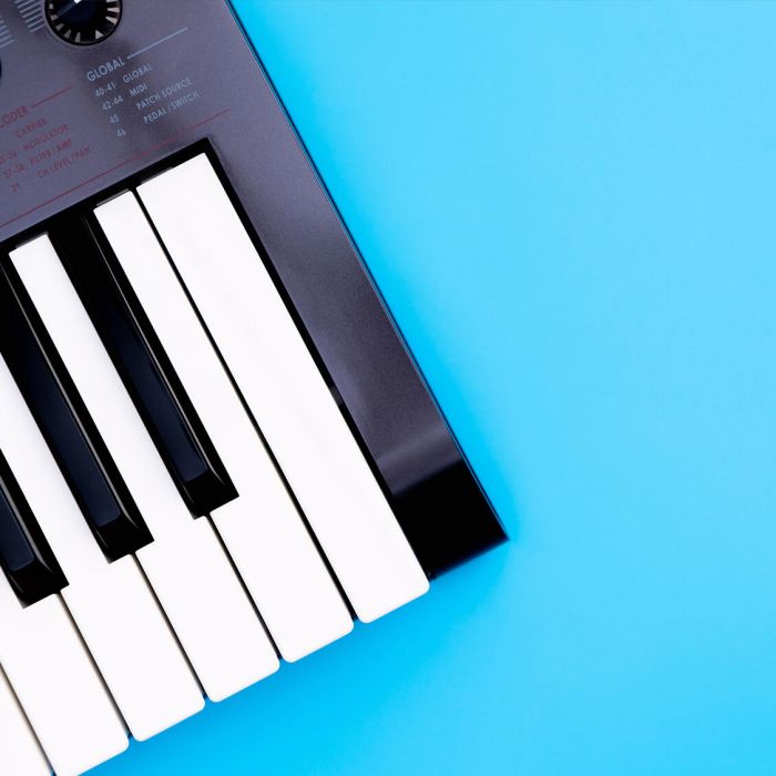 Excepteur sint occaecat cupidatat non proident sunt in culpa