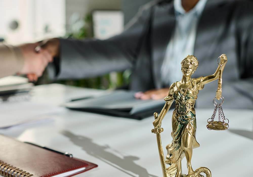 Navigating environmental challenges: a closer look at environmental law