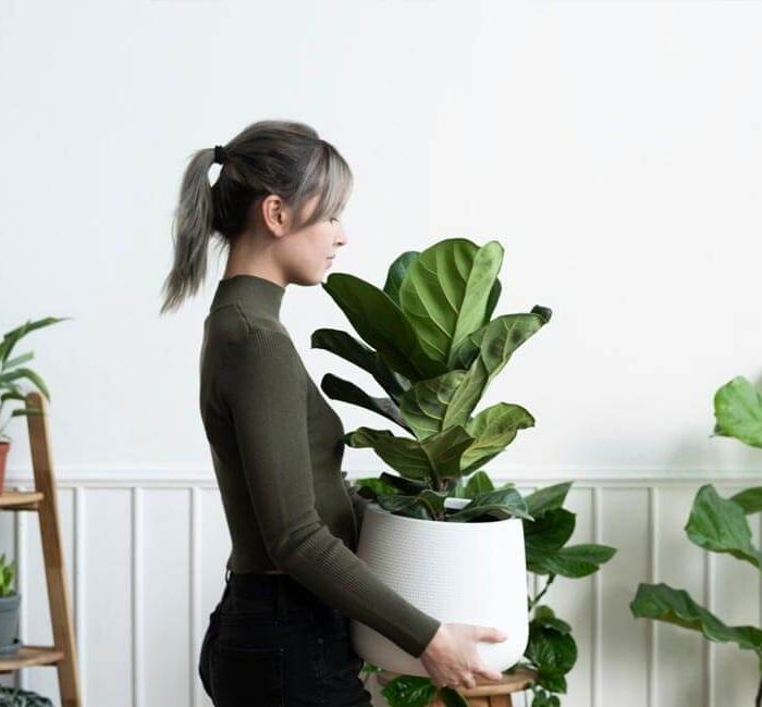 The ‘Anti-Minimalism’ Movement: Why Clutter Is Making a Comeback