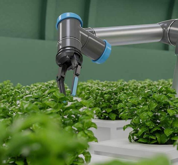 This Event Just Divided the Internet – Whose Side Are You On?