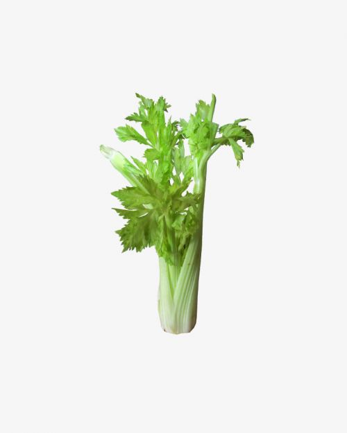 Petiolate Celery