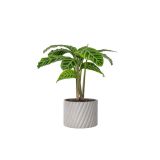 small-plants-18