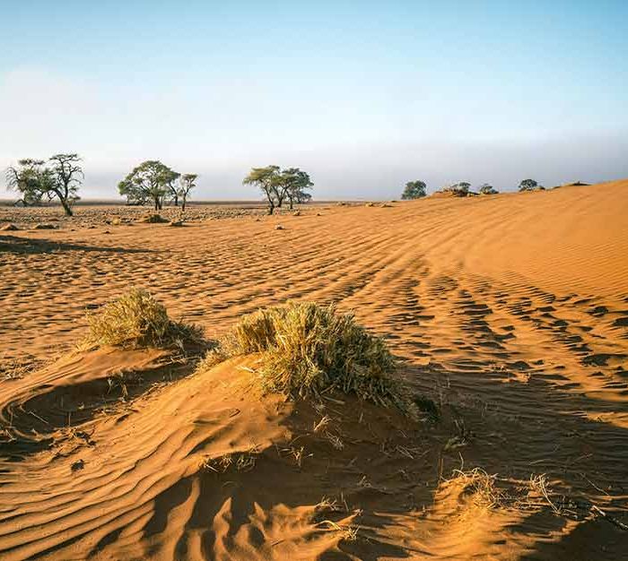 Camps and lodges in Kenya