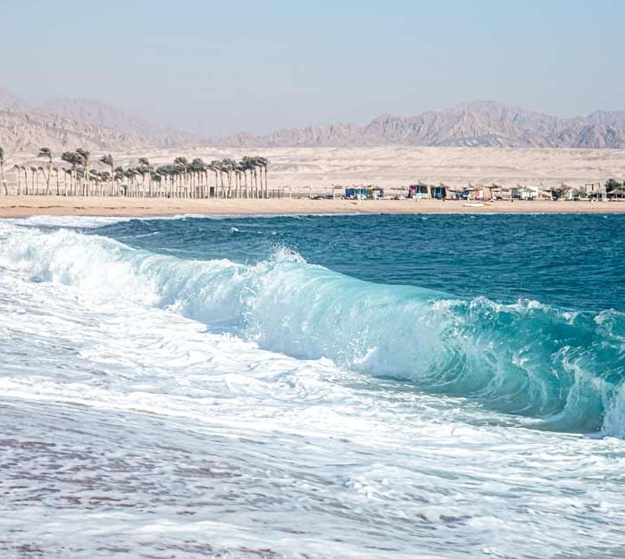 Classic Southern Kenya: safari & beach