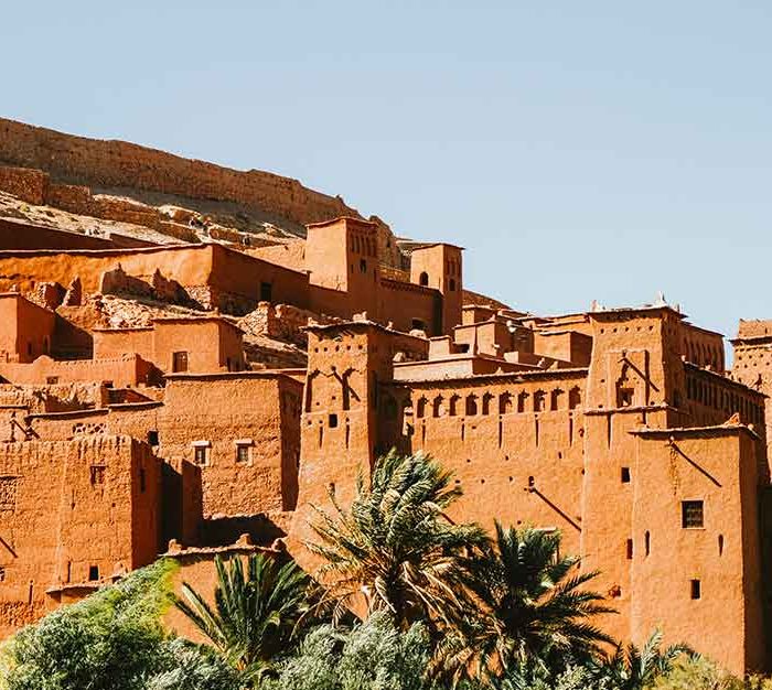 Golden Light Safari Circuit