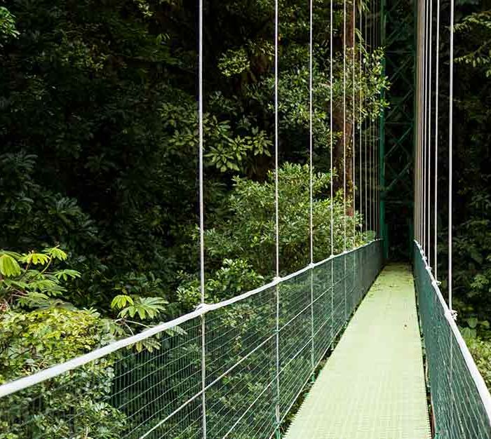 A Central American Journey