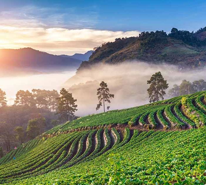 Hanoi to Singapore Travel Pass