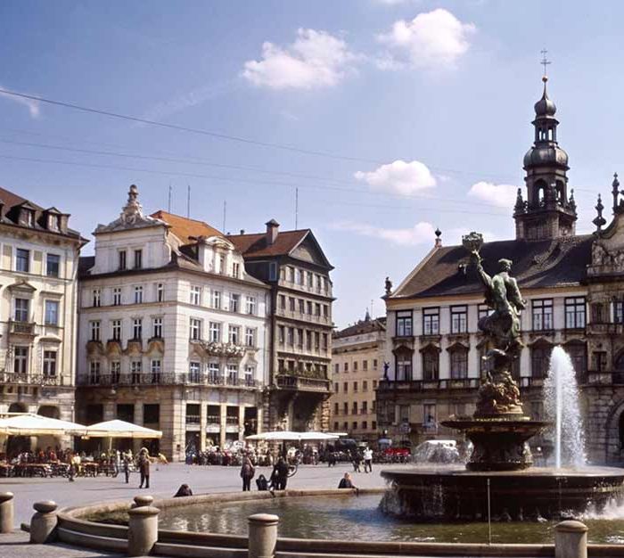 A Culinary & Wine Odyssey