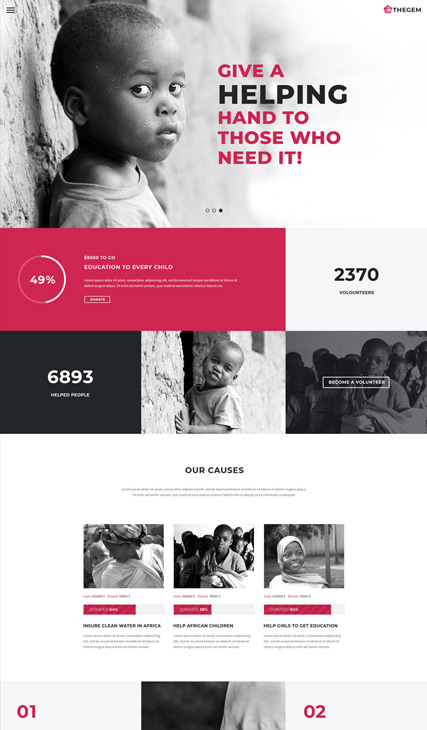 TheGem Charity, Non-Profit