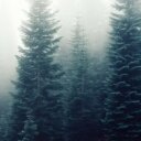 photo-1418065514041-ace6539f65cf